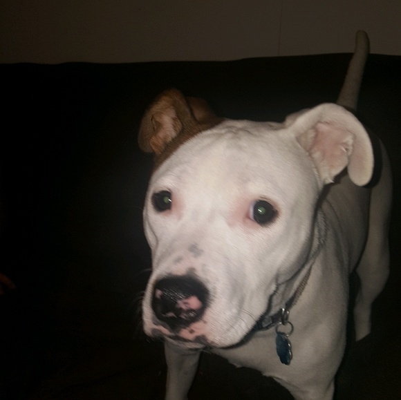 Meet your Posher, Emily - Picture 1 of 1